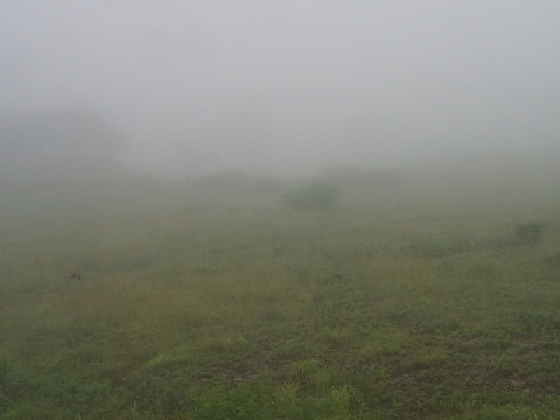 f0169147_10142204.jpg