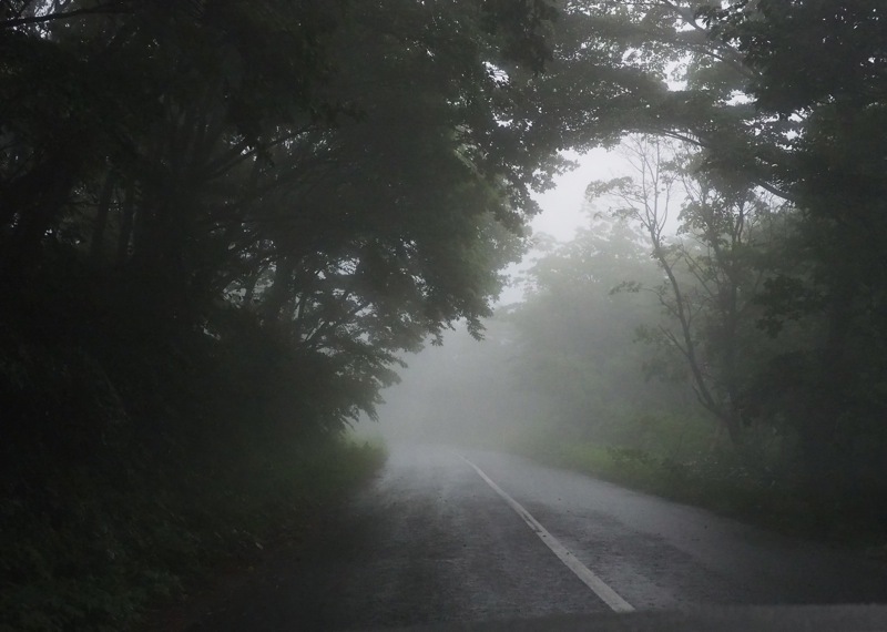 f0169147_10142273.jpg