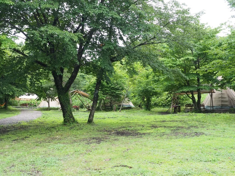 f0169147_10220283.jpg