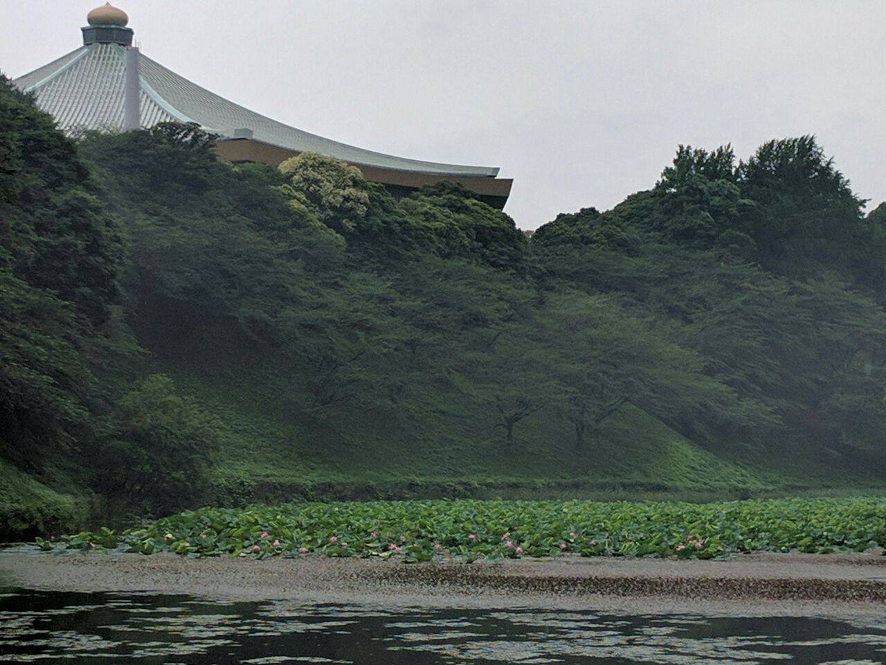 f0227248_170547.jpg