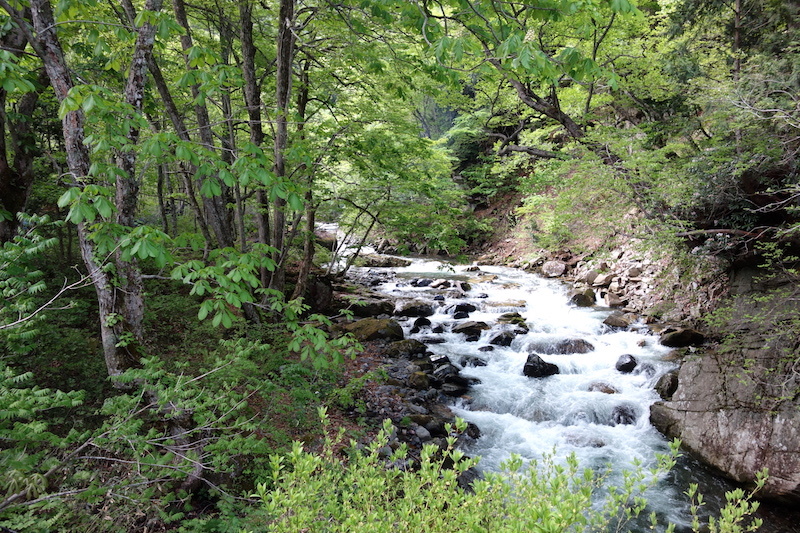 b0325549_23205312.jpg