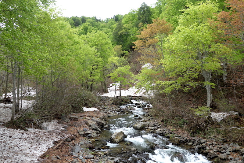 b0325549_23224109.jpg