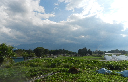 e0172950_2033256.jpg