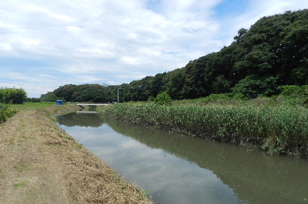 e0172950_21104341.jpg