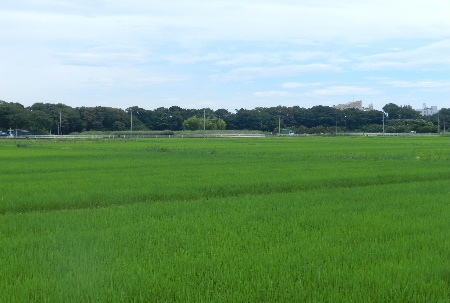 e0172950_2110453.jpg