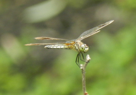 e0172950_21114196.jpg