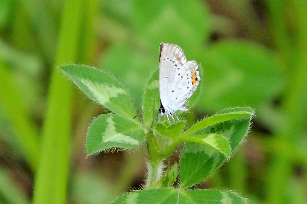 b0236251_115223100.jpg