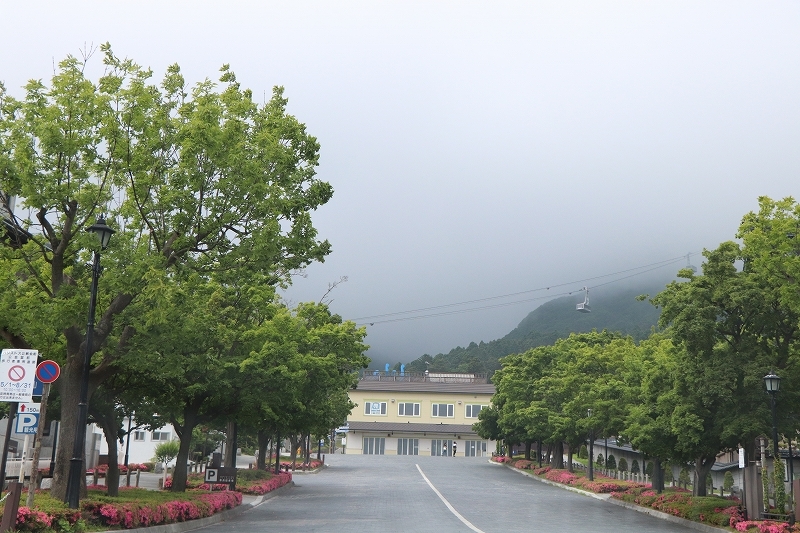 b0250154_16245911.jpg
