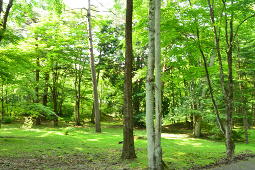 b0016557_8143299.jpg