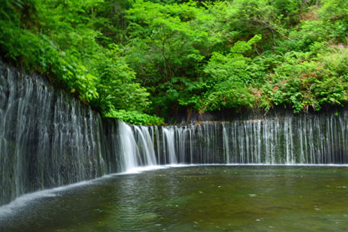 b0016557_8144146.jpg