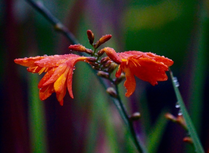 a0248459_15153181.jpg