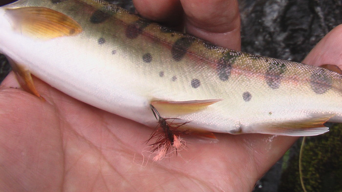 b0208961_1642516.jpg