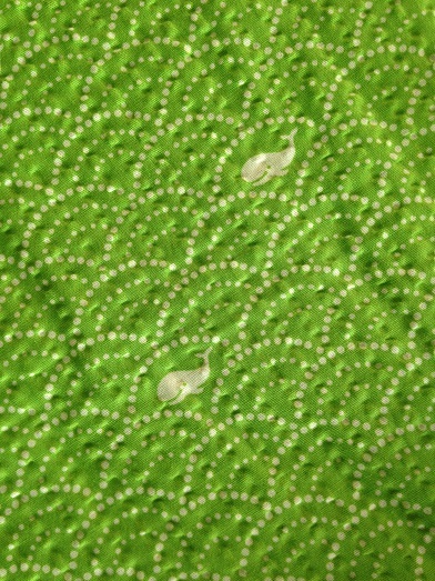 c0327061_10111782.jpg