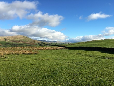 a0199262_13321158.jpg
