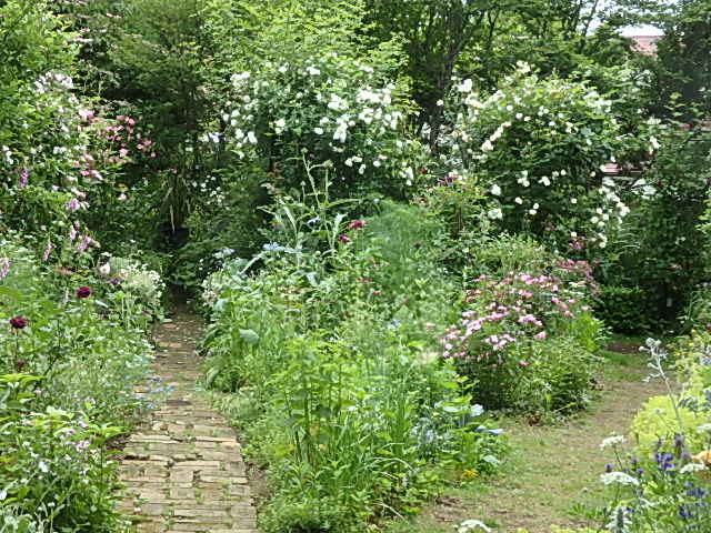 e0017562_05564189.jpg