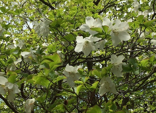 b0145863_23353288.jpg