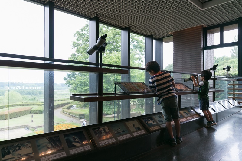 d0162864_15113458.jpg