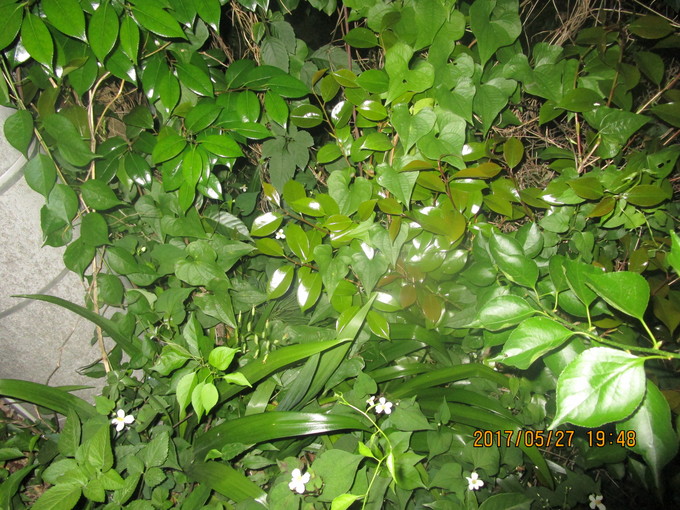 a0055866_222162.jpg