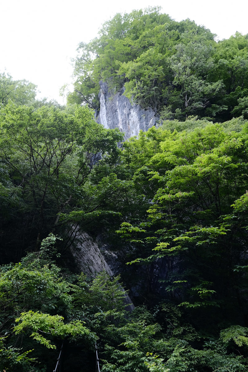 c0084666_08453885.jpg