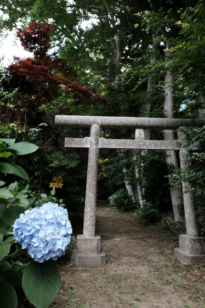 c0084666_16171147.jpg