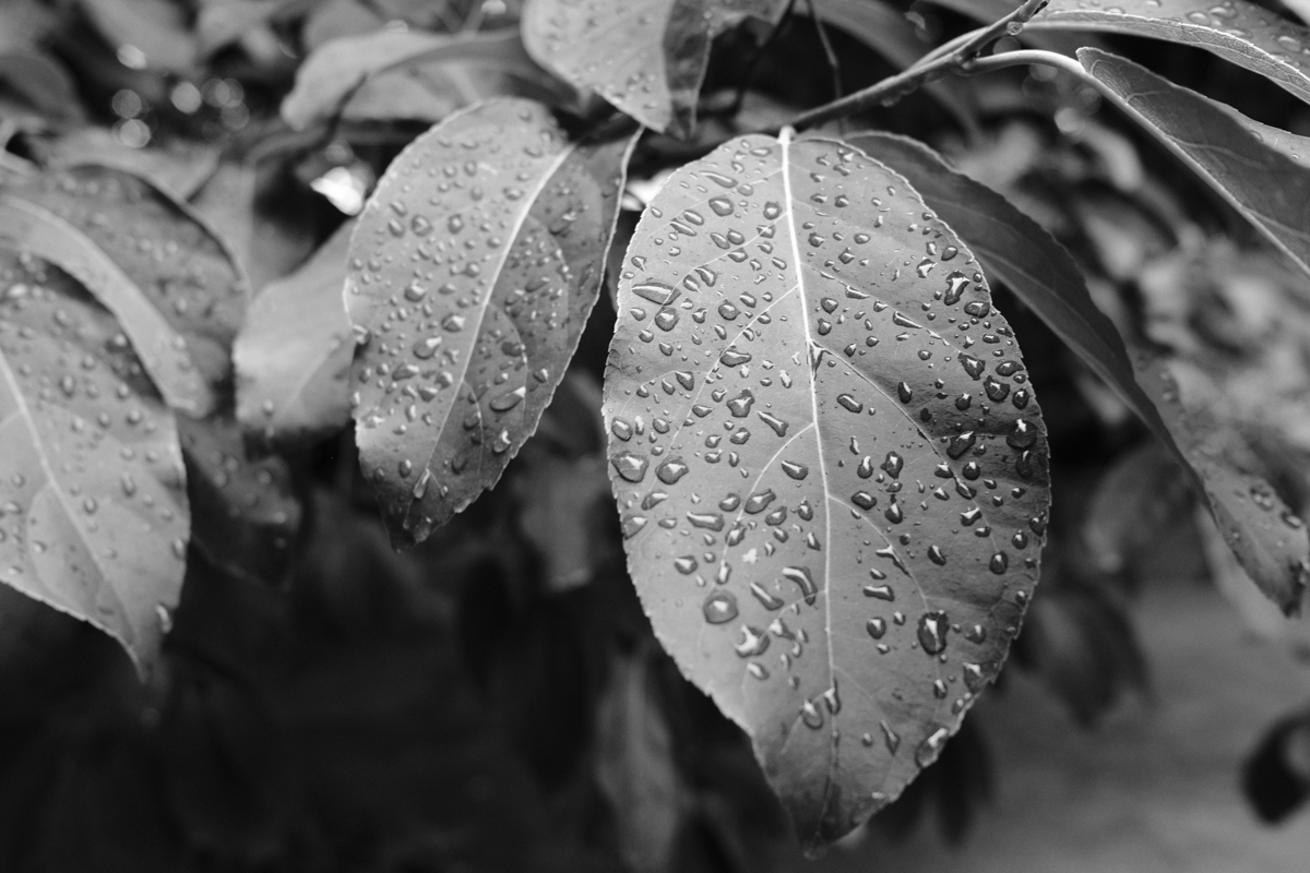 c0084666_17285751.jpg
