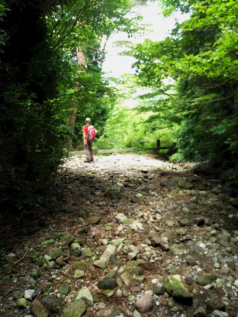 c0042869_08385176.jpg
