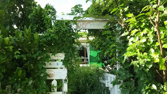 e0269170_7474210.jpg