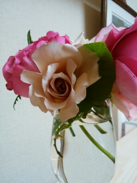 f0200871_0534624.jpg