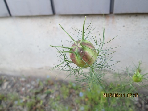 b0046473_17222469.jpg