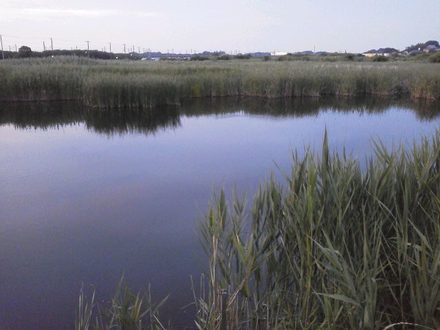 b0155973_21484286.jpg