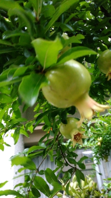 c0162773_01112882.jpg