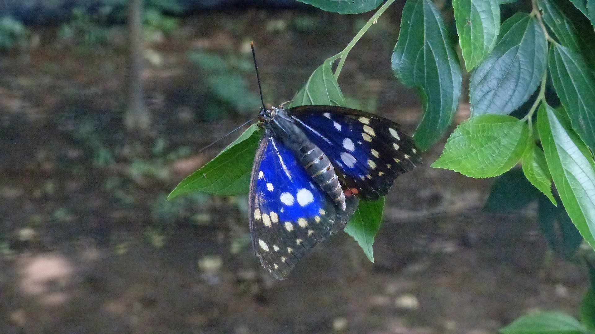 a0185081_13373769.jpg