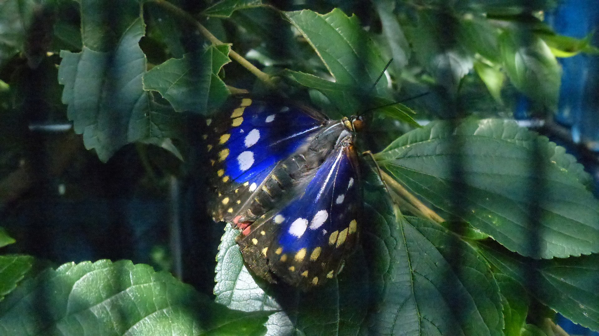 a0185081_13391551.jpg