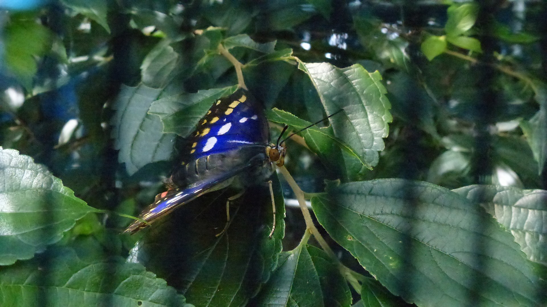 a0185081_13394384.jpg