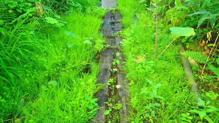 a0242984_22350748.jpg