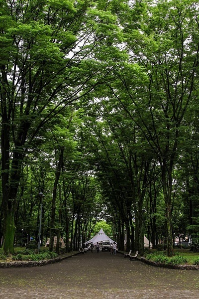 b0350085_10295958.jpg