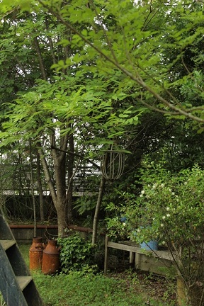 d0158286_19111430.jpg