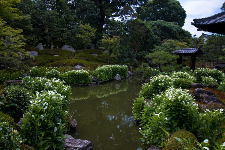 e0051888_5371520.jpg