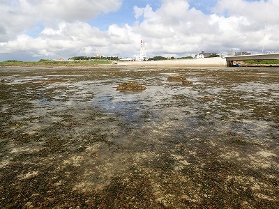 f0338188_15264352.jpg
