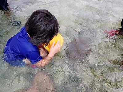 f0338188_15544402.jpg