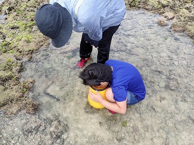 f0338188_15550579.jpg