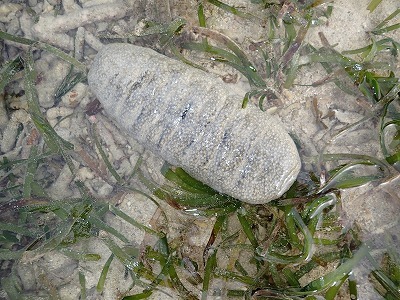 f0338188_15551067.jpg