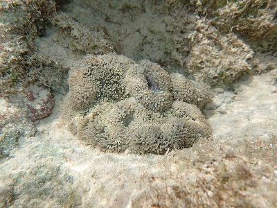 f0338188_15562318.jpg