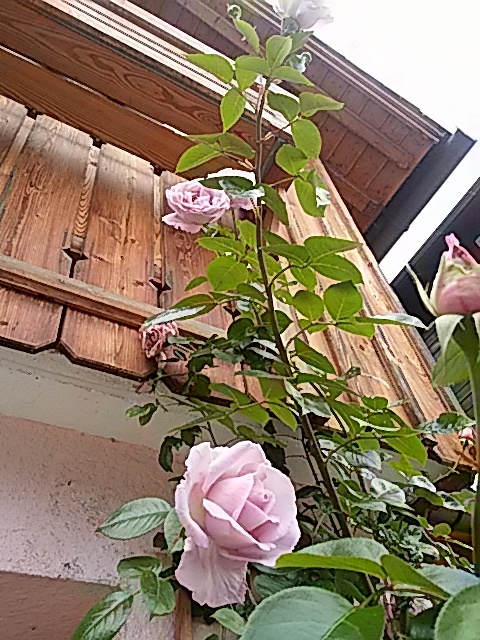 e0014991_23232348.jpg