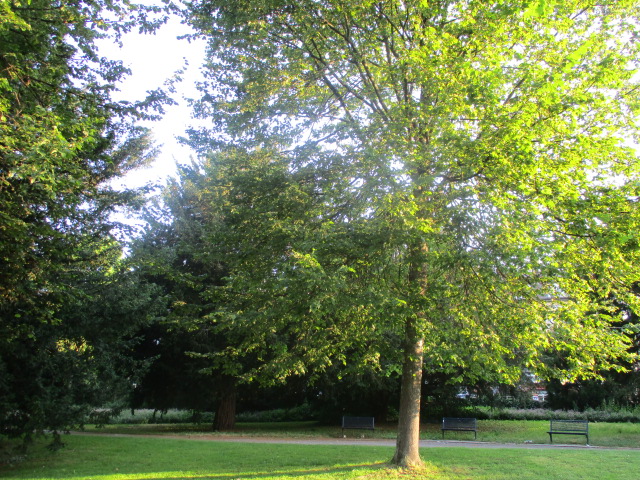 d0198793_1842998.jpg