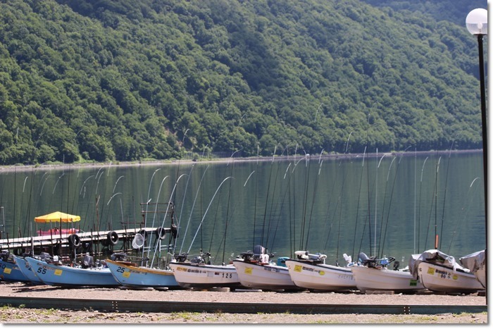 f0146493_22190751.jpg