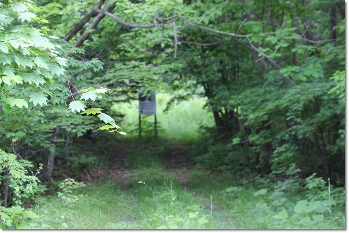 f0146493_22263692.jpg