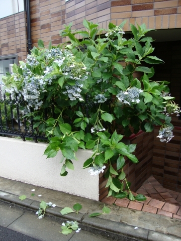 c0322794_23090100.jpg