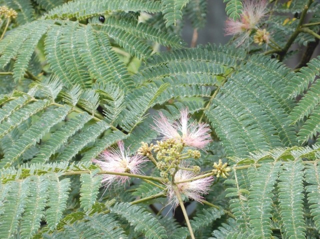 e0025300_2223879.jpg