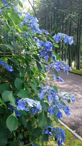 e0351303_23164911.jpg